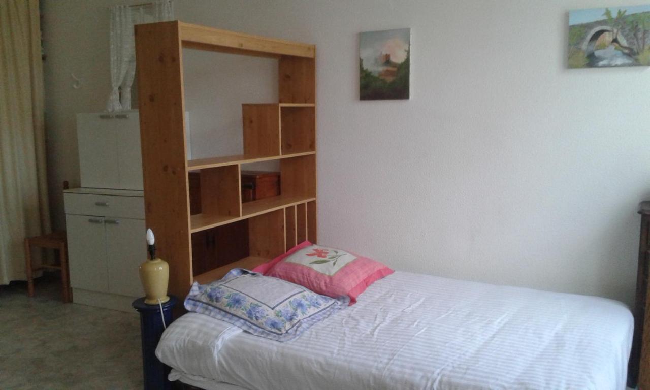 Le Sultan Du Theron 3Em Etage Appartement Le Puy-en-Velay Buitenkant foto